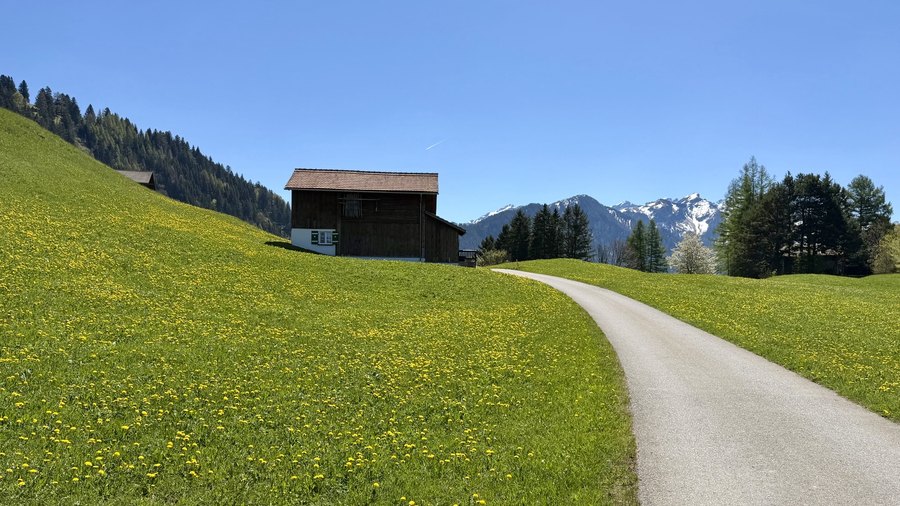 Weg durch eine Frühlingswiese zu einem Bergdorf in Liechtenstein
