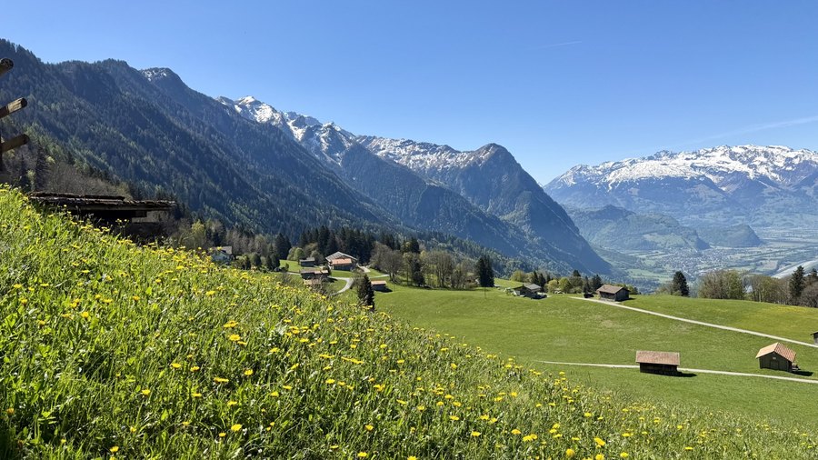 Weite Berglandschaft mit Wiesen und Höfen in Liechtenstein