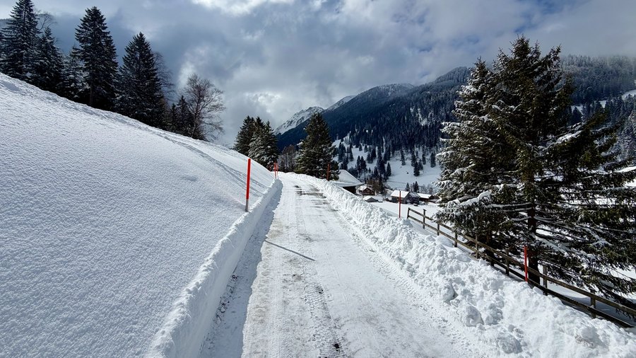 Verschneiter Weg durch die Liechtensteiner Berglandschaft