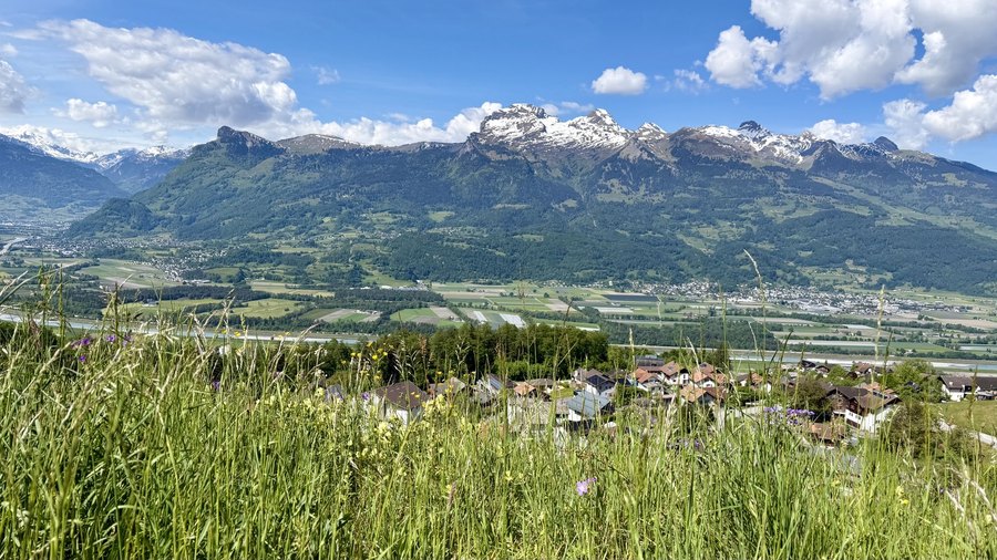 Dorf und Berglandschaft im Liechtensteiner Rheintal